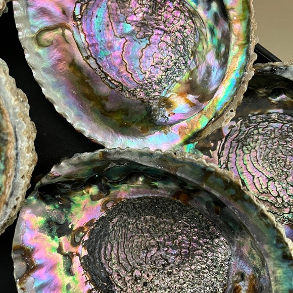 Hand Crafted Smudge Kit Natural Wood Stand - Picture 12 of 13